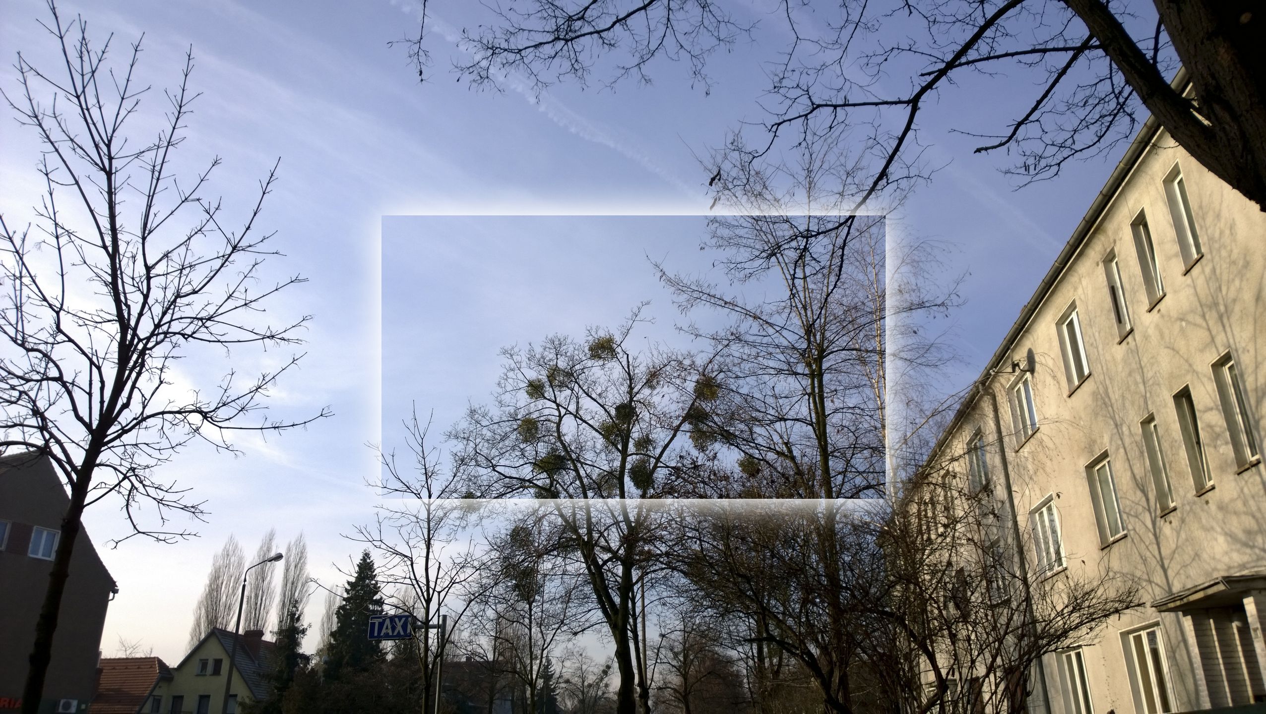 ISO 100, f/2,2, 1/885 s