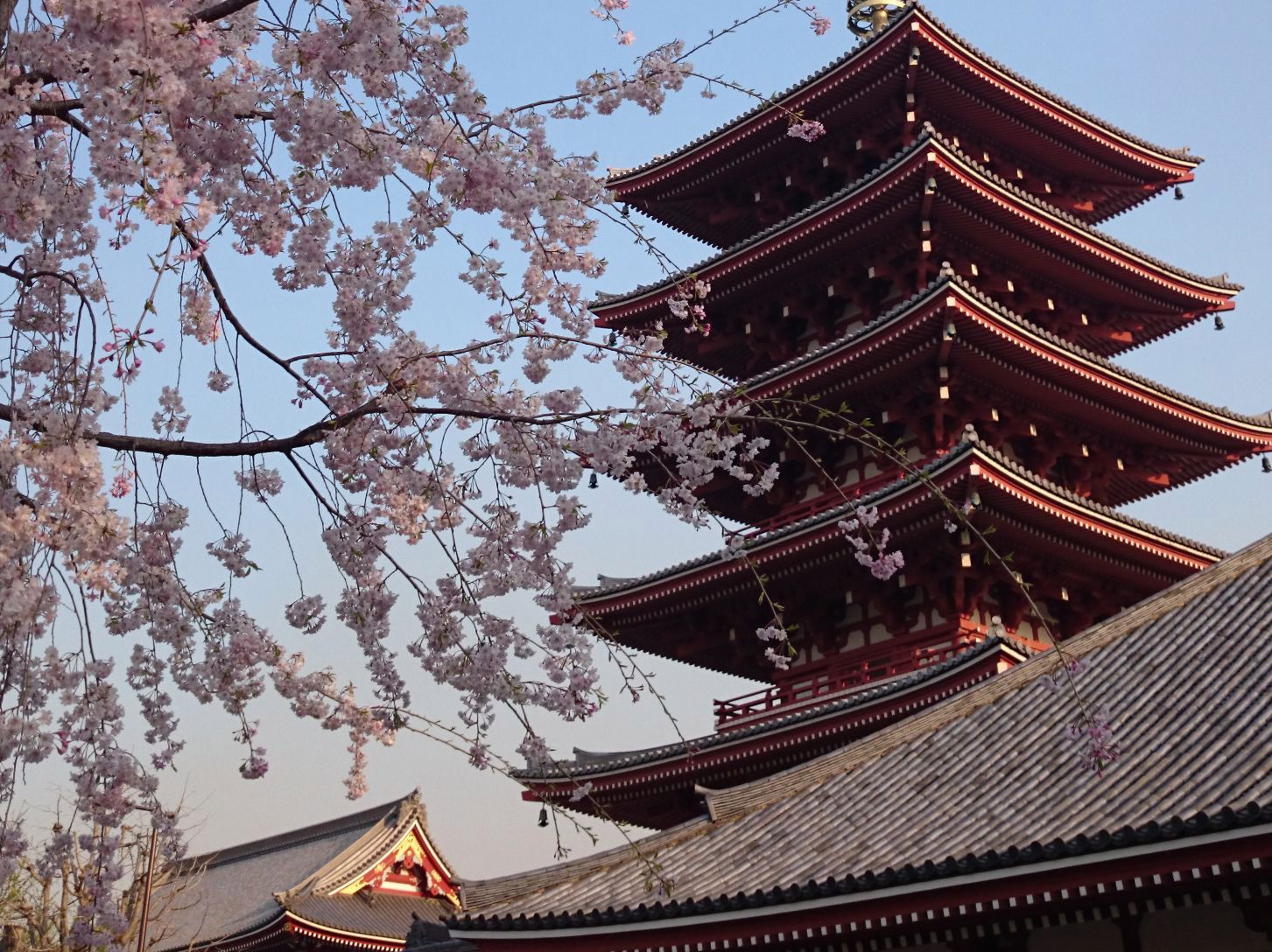 Xperia Z1 Compact vs stare sony ericssony - zaskakujące wyniki fotoporównania 31