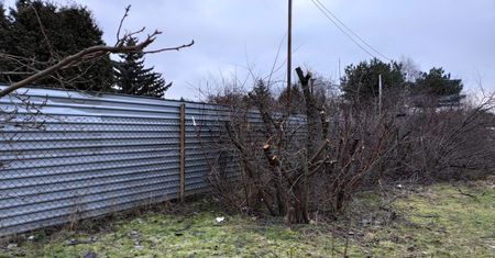 Warszawa. Co za bestia to zrobiła. Zieleń miejska szuka świadków wandalizmu na Bielanach