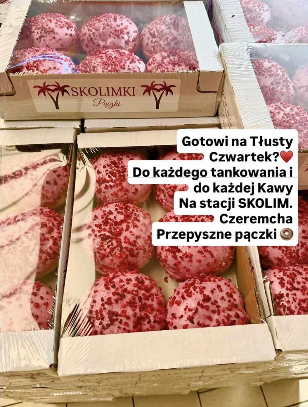 Skolim w tłusty czwartek rozdaje pączki
