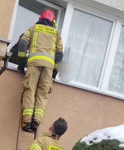 5-latek stał w oknie i płakał. Był w domu sam, nie po raz pierwszy