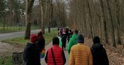 Słupsk: Fundacja LasStory zaprasza do sprzątania Lasu Południowego. "Przyroda nie poradzi sobie sama"
