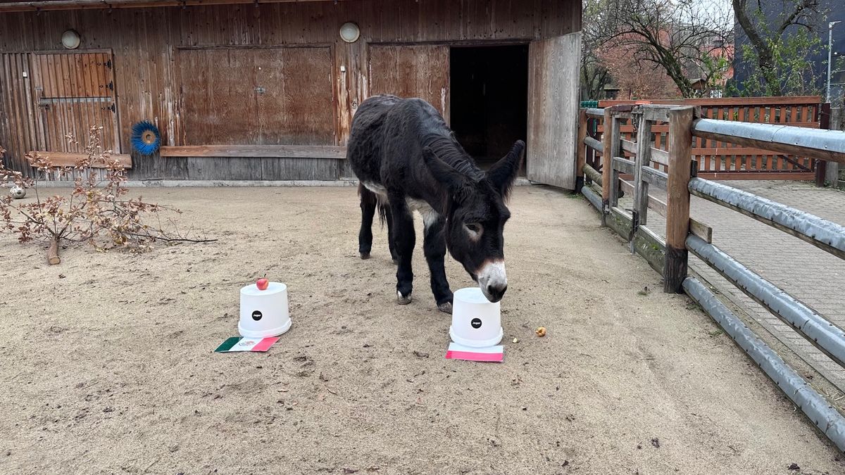 Zidane typuje wynik meczu Polska - Meksyk. Nie miał wątpliwości