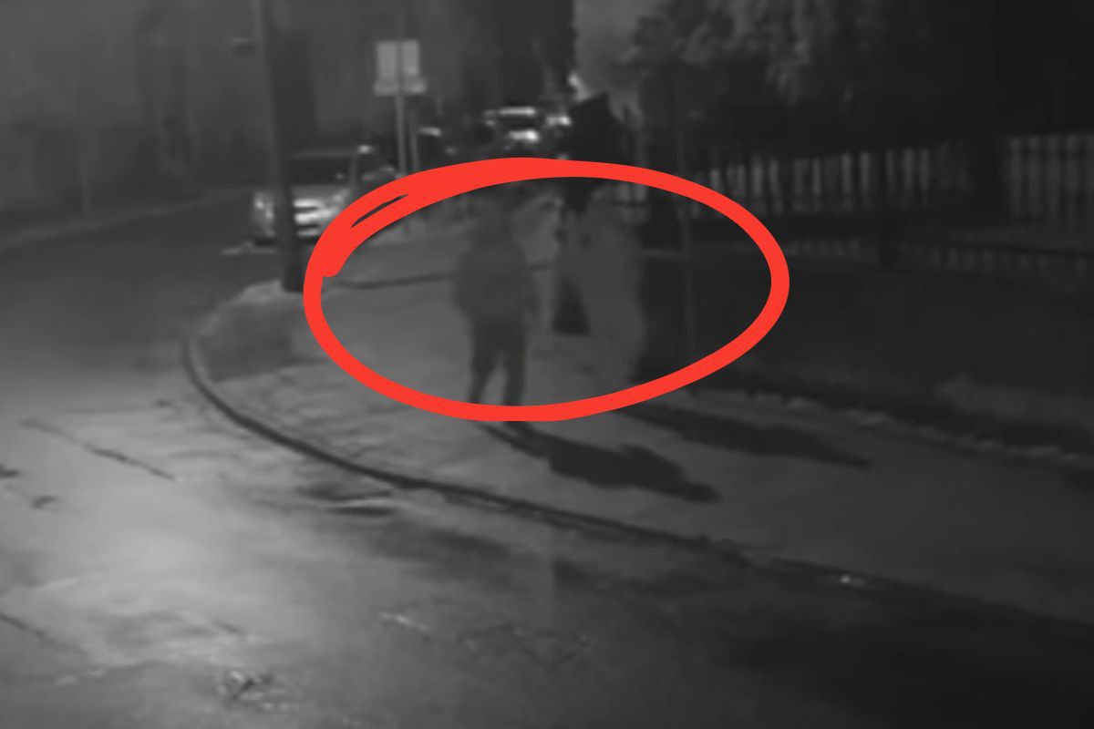 Policjanci publikują wideo. Czy ktoś im pomoże? "Nietypowa sprawa"