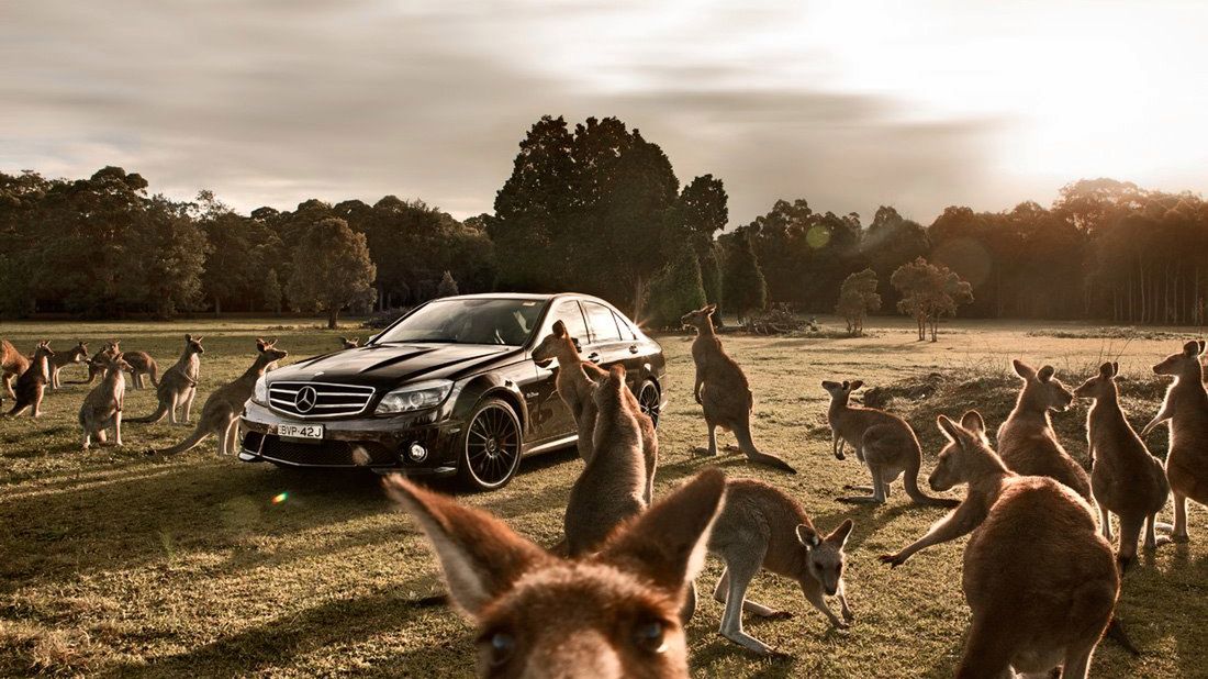 Królowie fotografii motoryzacyjnej - 100 najlepszych zdjęć 1