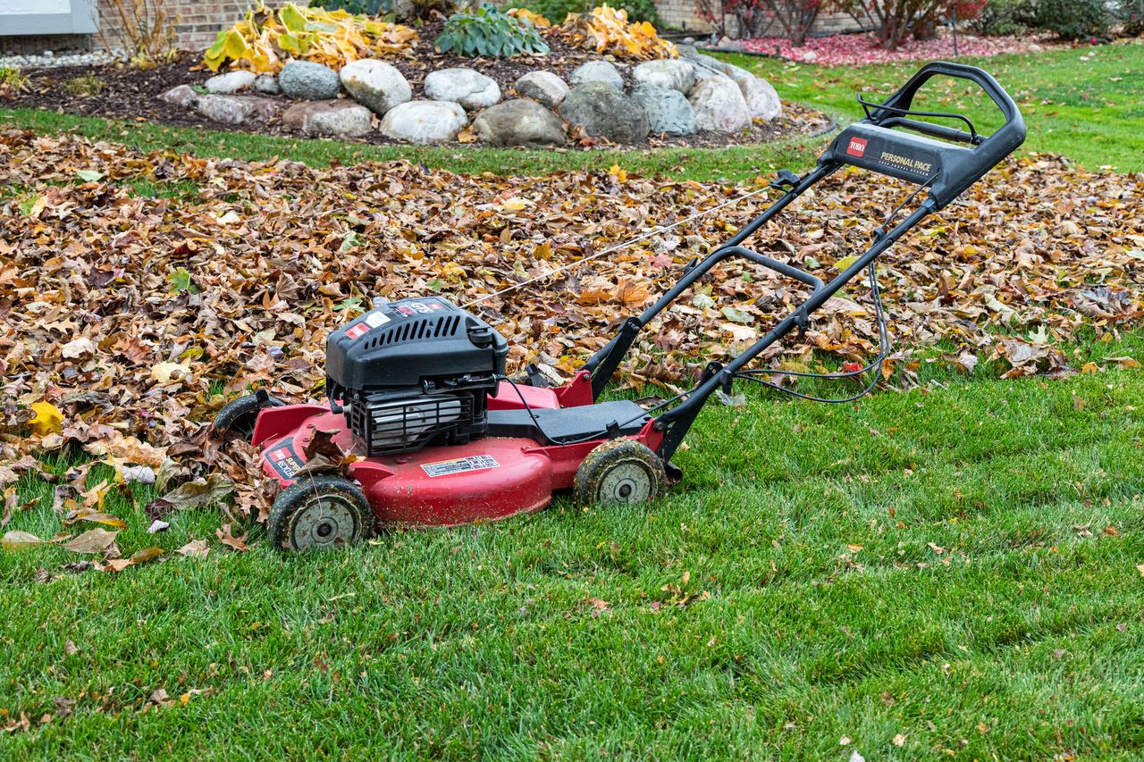 Prepare your lawn for winter: Tips for a lush spring return