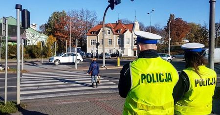 Mamy problem na pasach. Więcej potrąceń, winni są kierowcy