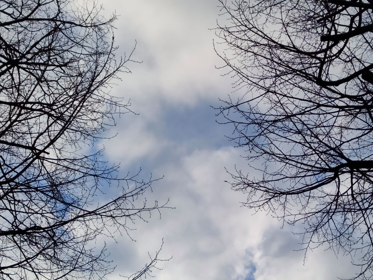 Test najtańszego smartfonu z aparatem 108 Mpix. realme 8 Pro spełnia swoje obietnice 21