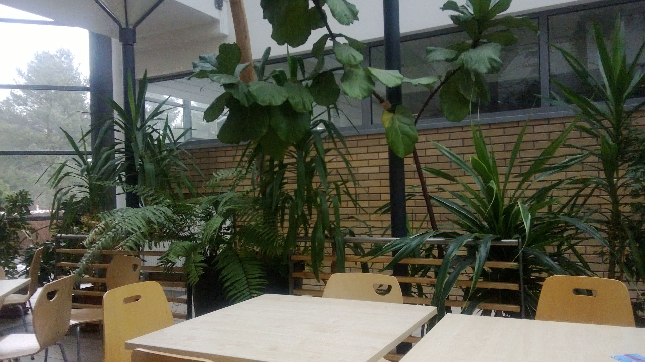 Nokia Lumia 620 - ucieleśnienie dobrego stosunku jakości do ceny [test] 11