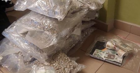 24-latek, miał ukryte w różnych miejscach 42 – kilo marihuany o wartości 2 000 000 zł. „Trudnił się handlem”