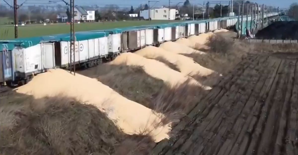 Wysypana kukurydza na torach kolejowych w Kotomierzu