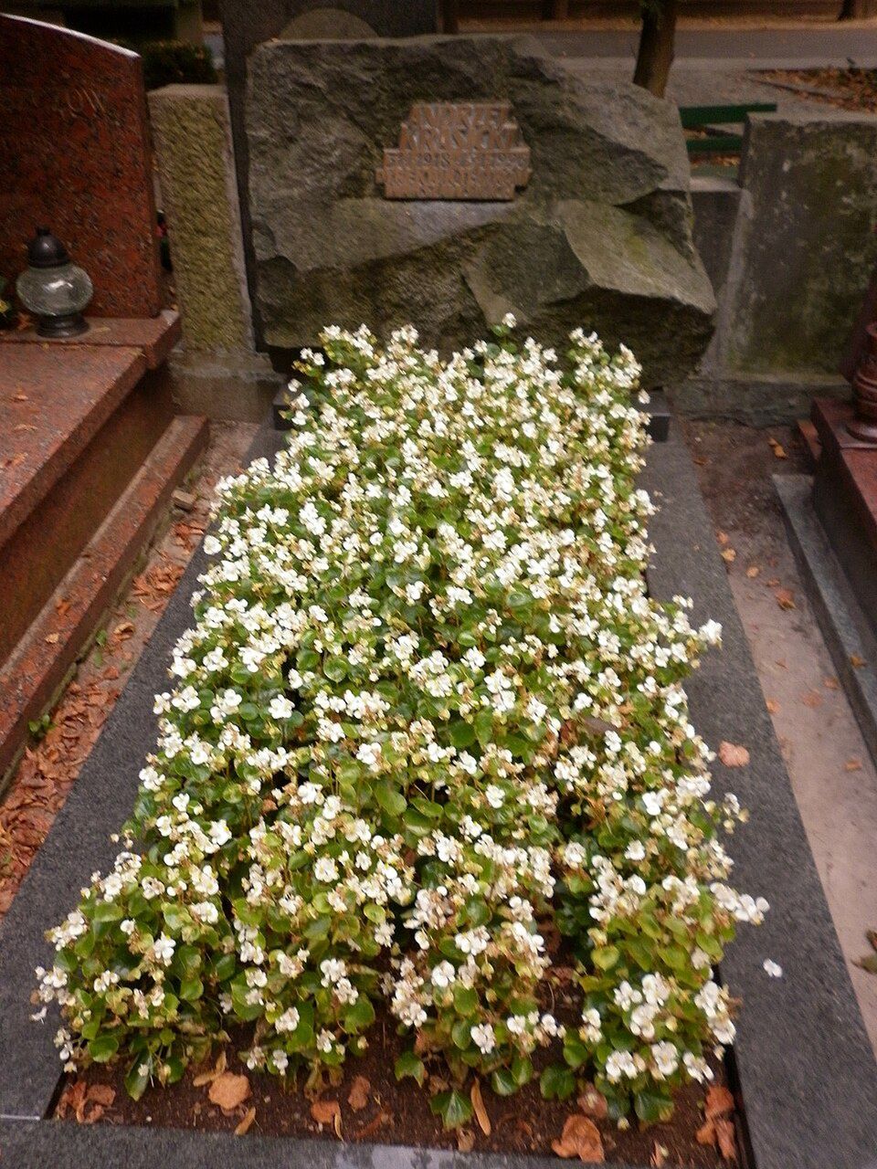 Grób aktora Andrzeja Krasickiego