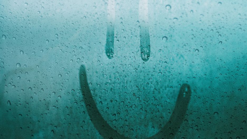 Jak skutecznie zapobiegać wilgoci w domu? 