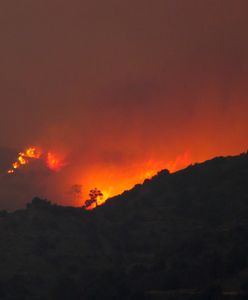 Cypr. Płoną lasy u podnóża Troodos. "Najgorszy pożar w historii"