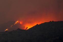 Cypr. Płoną lasy u podnóża Troodos. "Najgorszy pożar w historii"