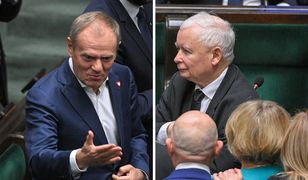 Sondaż WP. Wzrost poparcia dla PiS. Donald Tusk ma powód do zmartwień?