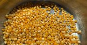 Nie tylko popcorn! Co jeszcze można zrobić z ziaren kukurydzy i czemu warto?