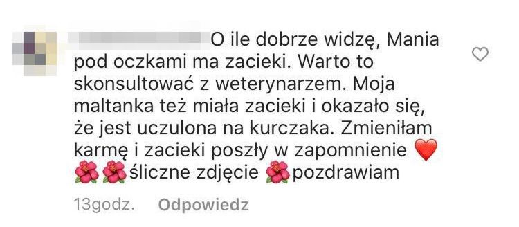 Internauci martwią się o zdrowie psa Joanny Przetakiewicz