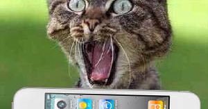 Olaboga! iPhone 4 na wideo