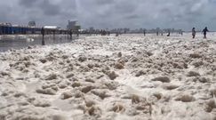 Ocean wyrzucił to na brzeg plaży. Turyści nie kryli zaskoczenia