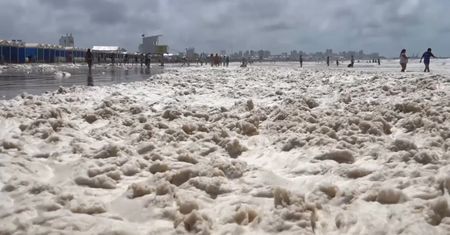 Ocean wyrzucił to na brzeg plaży. Turyści nie kryli zaskoczenia