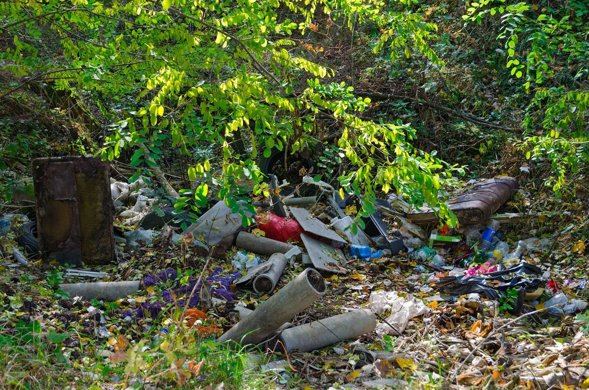 Śmieci w lesie - zdjęcie poglądowe