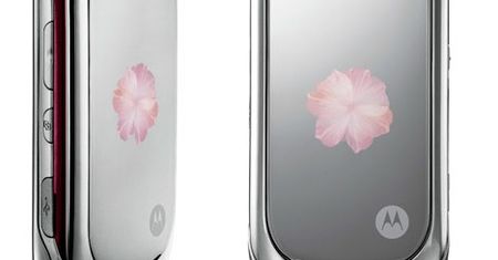 Motorola PEBL Rose Bloom dla Zakochanej