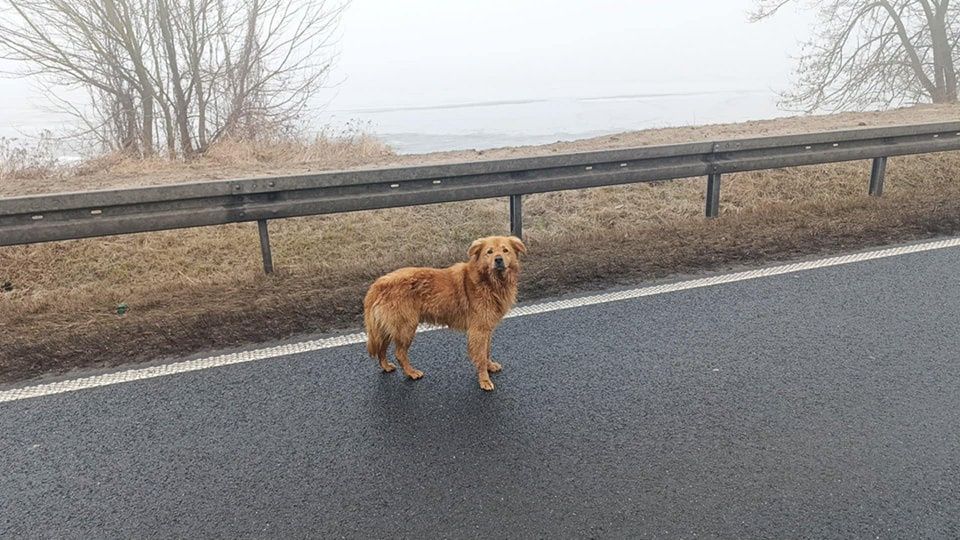 OSP NOWY DUNINÓW