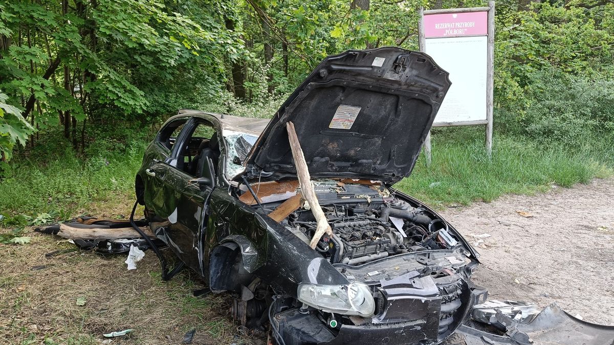 Leśnicy pokazują, co ludzie zostawiają w lasach