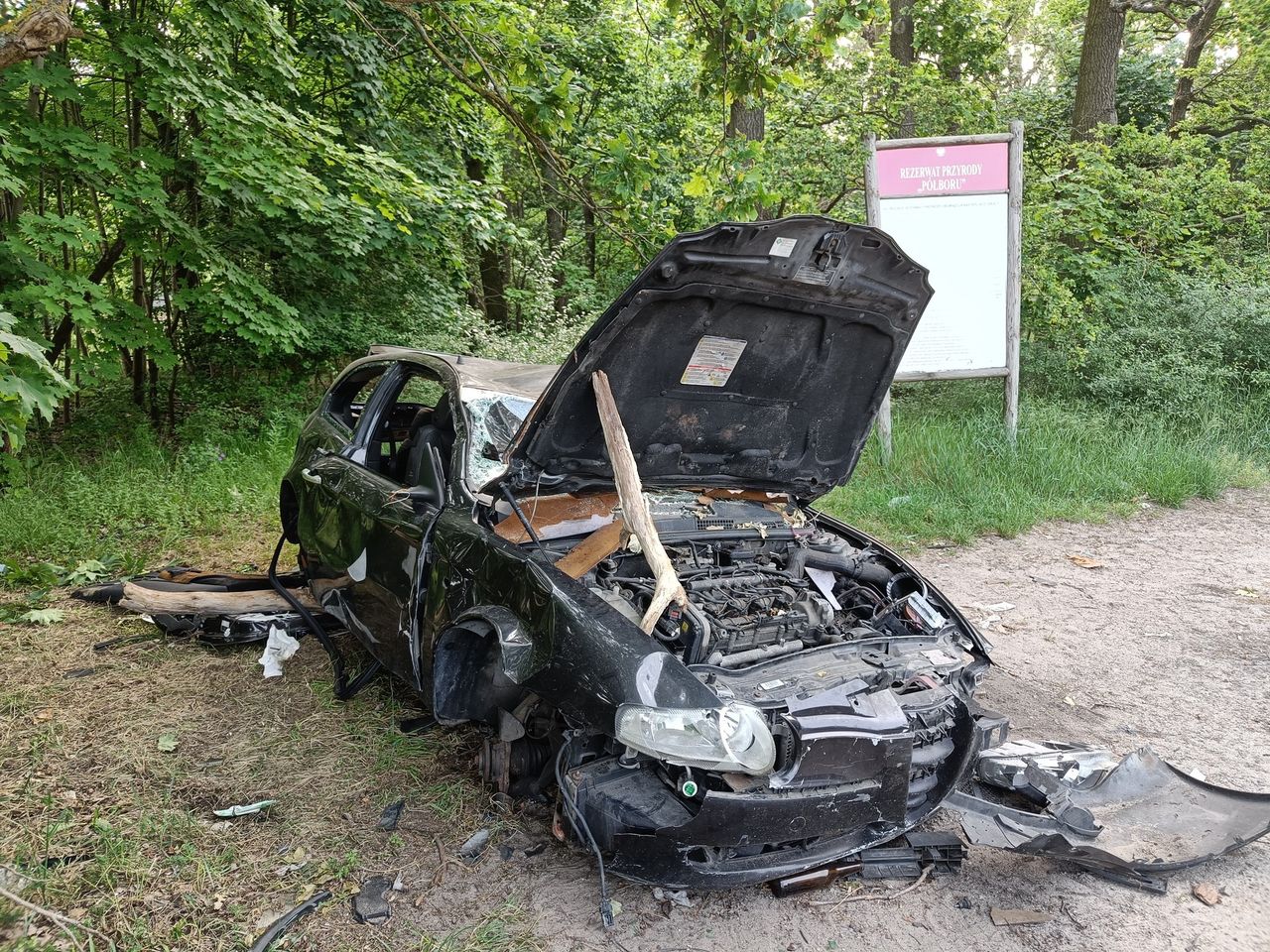 Leśnicy pokazali zdjęcia. "Coraz to ciekawsze znaleziska"
