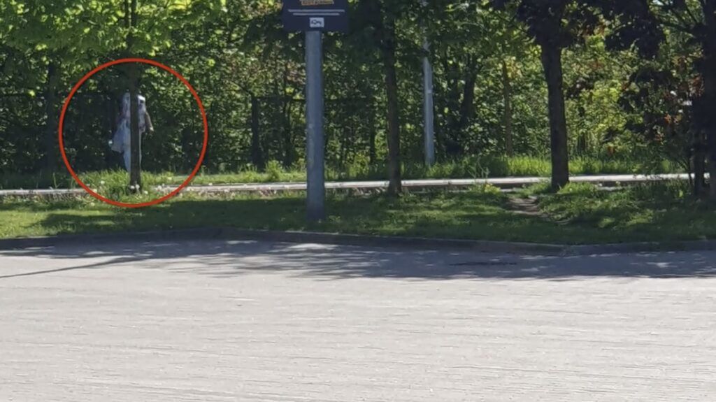Najpierw dokonała kradzieży w sklepie, a następnie uciekając schowała się przed policjantami za drzewem [WIDEO]
