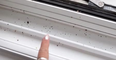 Widzisz takie kropki na oknach? Od razu zareaguj