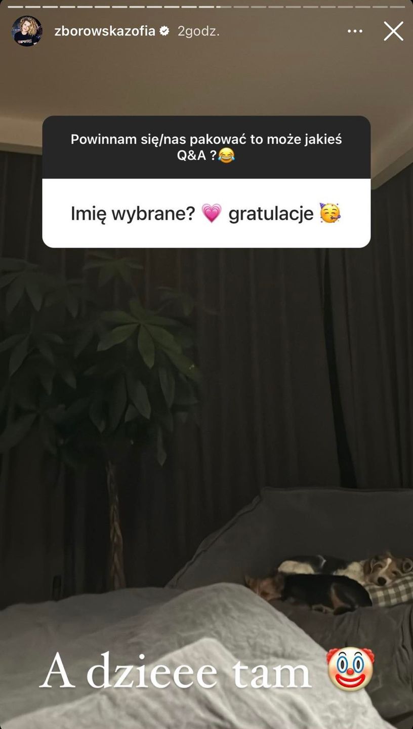 Q&A Zofii Zborowskiej