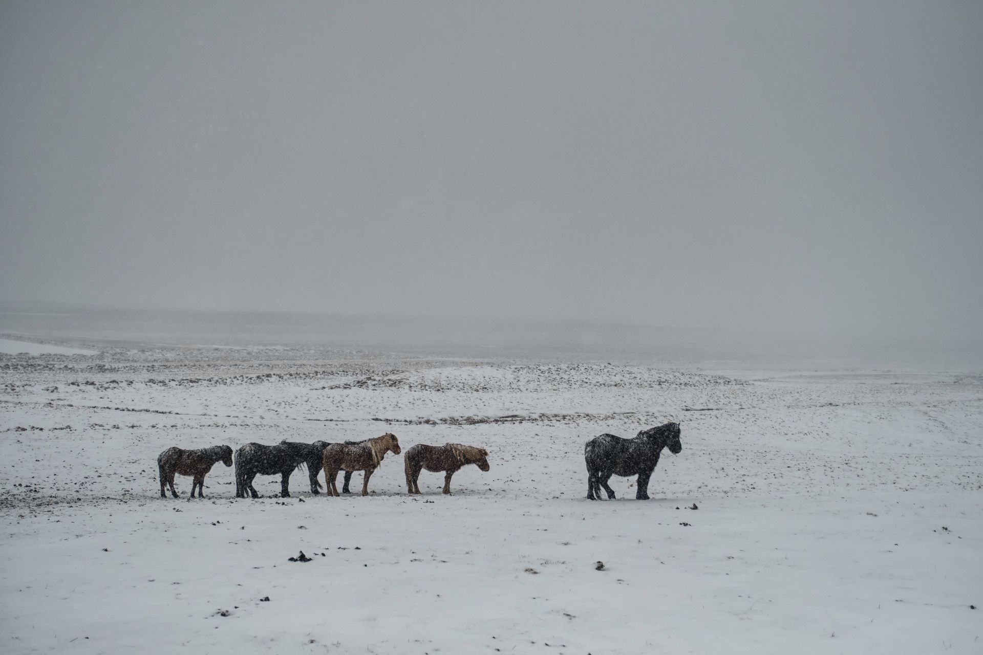 Islandia, ja oraz pojedynek flagowców Fujifilm: X-Pro2 kontra X-T2 26