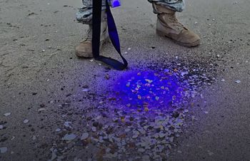 Makabryczne znalezisko nad Bałtykiem. Szukano bursztynu, trafiono na rękę