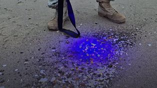 Makabryczne znalezisko nad Bałtykiem. Szukano bursztynu, trafiono na rękę