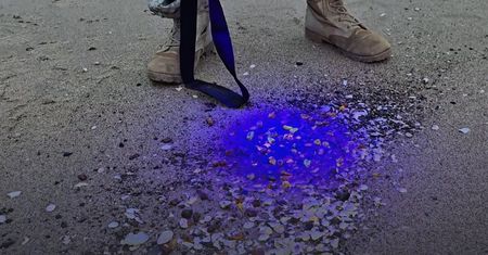 Makabryczne znalezisko nad Bałtykiem. Szukano bursztynu, trafiono na rękę