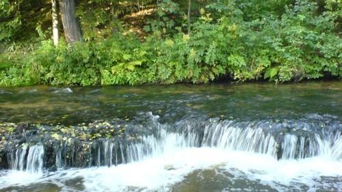 Eko - dekalog dla każdego 1