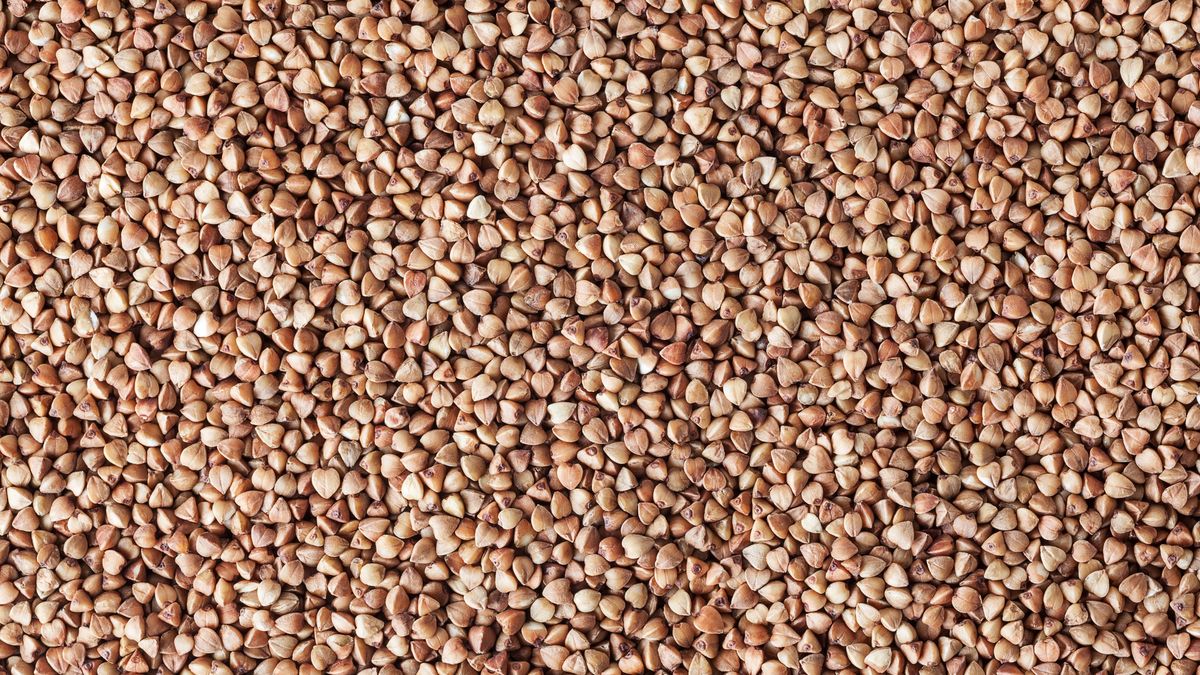 Roasted buckwheat grains background
Roasted buckwheat grains background
SvetlanaK
top view