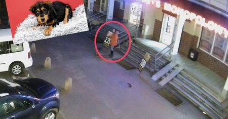Porzucony szczeniak w Elblągu. Policja poszukuje kobiety z nagrania