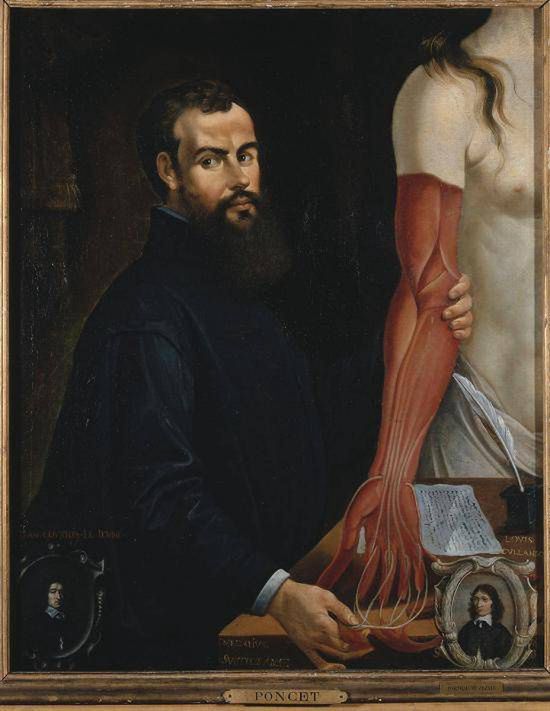 Andreas Vesalius (1514–1564). Śmiało możemy go nazwać jednym z twórców współczesnej anatomii.
