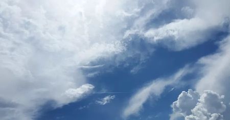 Niebezpieczne grzyby, bakterie i wirusy w atmosferze. Mogą być przenoszone na ogromne odległości