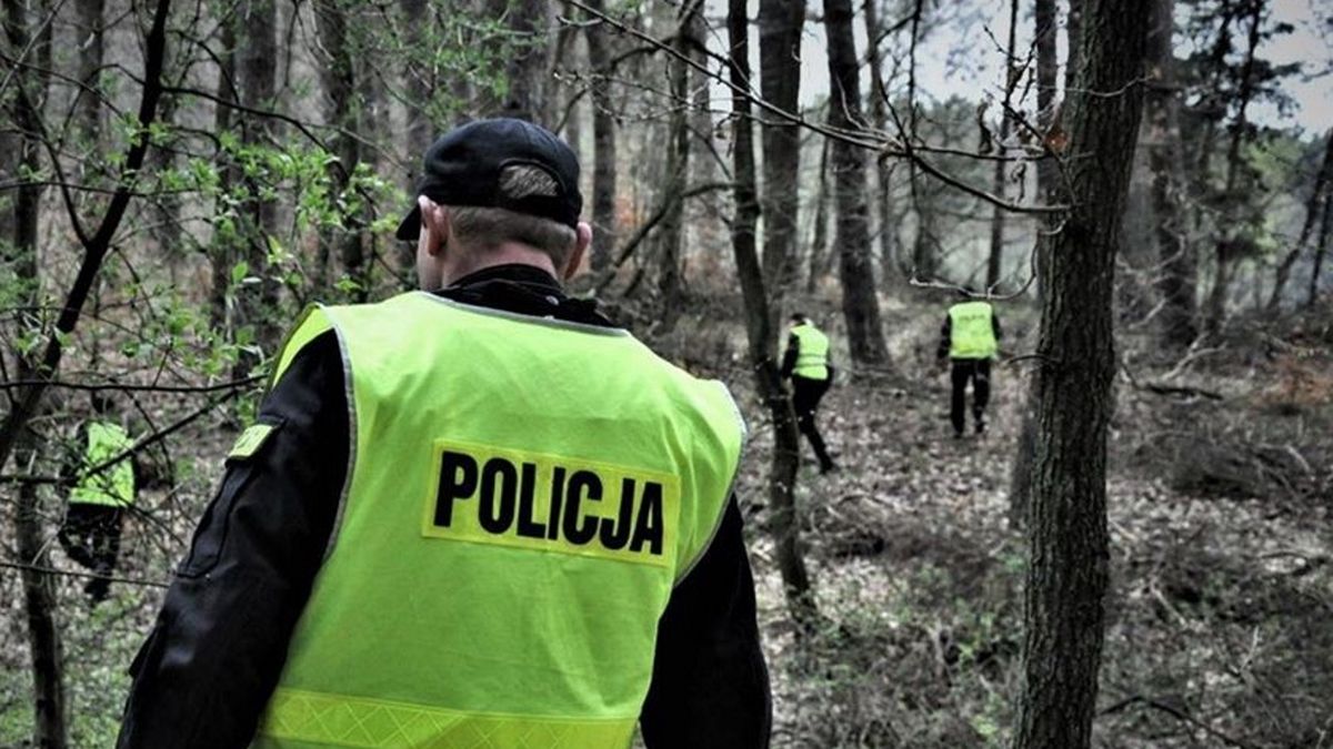 Zdjęcie ilustracyjne.