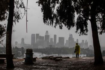 Stan wyjątkowy w Los Angeles. Nawałnice przyniosły chaos