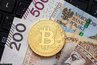 Potężny spadek wartości bitcoina. Gdzie jest dno?