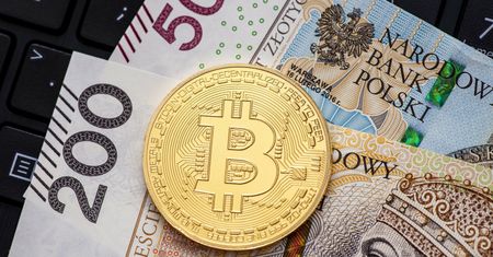 Potężny spadek wartości bitcoina. Gdzie jest dno?