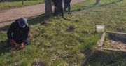Aleksandrów Kujawski: 50 świerków na 50 urodziny gminy