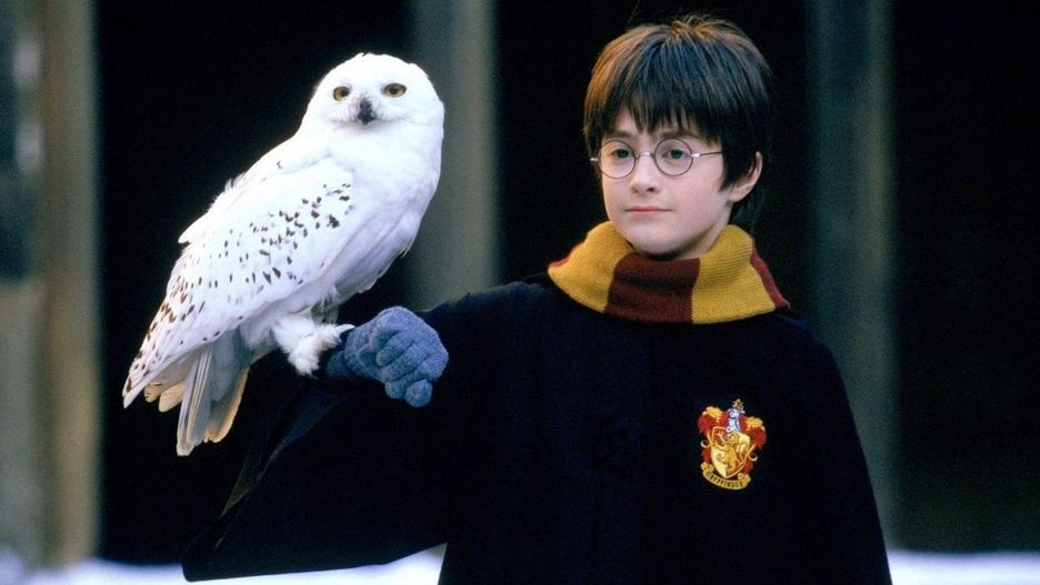 Źrodło fot. Harry Potter i Kamień filozoficzny, Chris Columbus, Warner Bros. Pictures, 2001