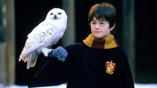 Gwiazda serialu Harry Potter wspomina list od Daniela Radcliffe'a