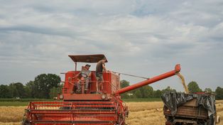 Rolnik hałasuje w nocy? Rząd chce zmienić zasady